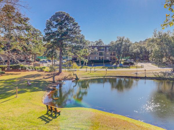 Hilton Head Condo 1009270