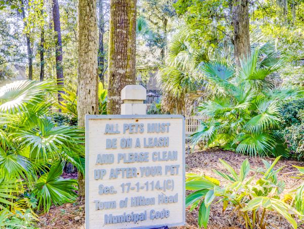 Hilton Head Condo 1009271