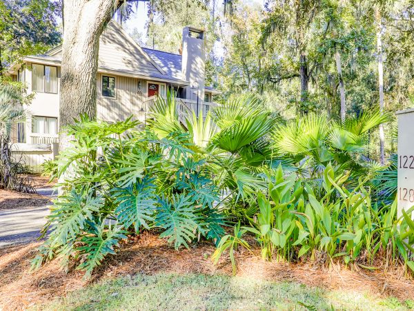 Hilton Head Condo 1009271
