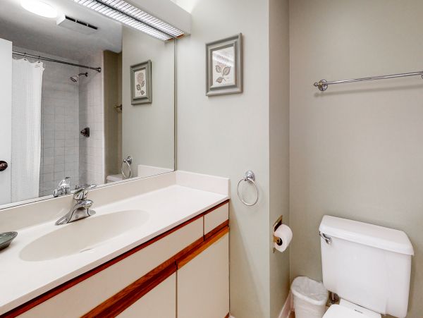 Hilton Head Condo 1009282