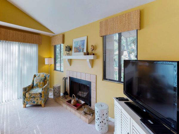 Hilton Head Condo 1009284