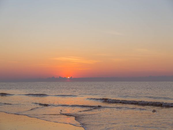 Hilton Head Condo 1009284