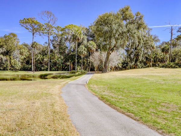 Hilton Head Condo 1009285