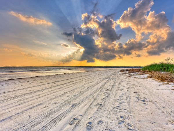 Hilton Head Condo 1009287