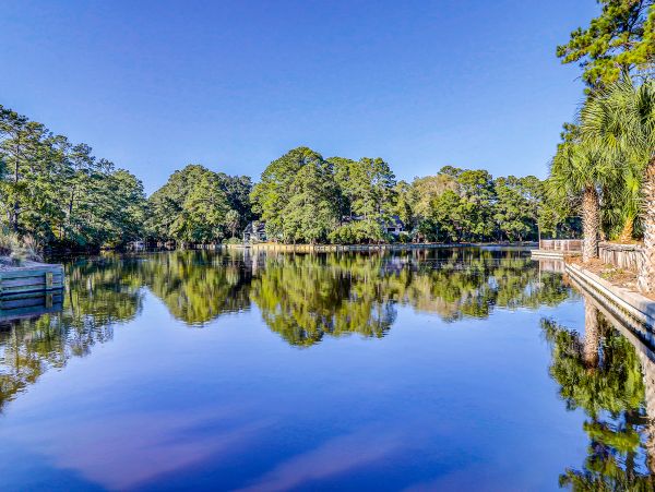 Hilton Head Condo 1009291