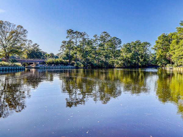 Hilton Head Condo 1009291