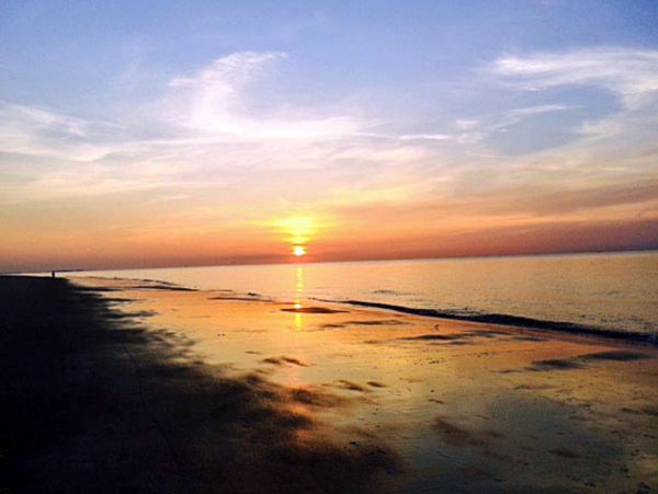 Hilton Head Condo 1009297