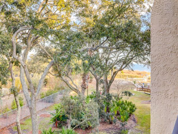 Hilton Head Condo 1009298