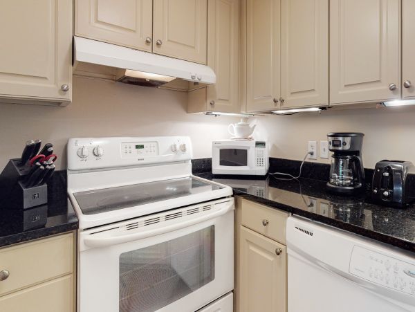 Hilton Head Condo 1009306