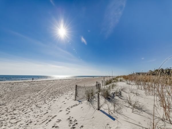 Hilton Head Condo 1009308