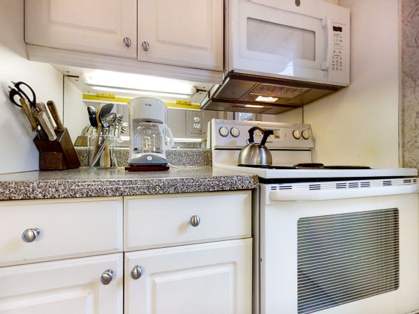Hilton Head Condo 1009309