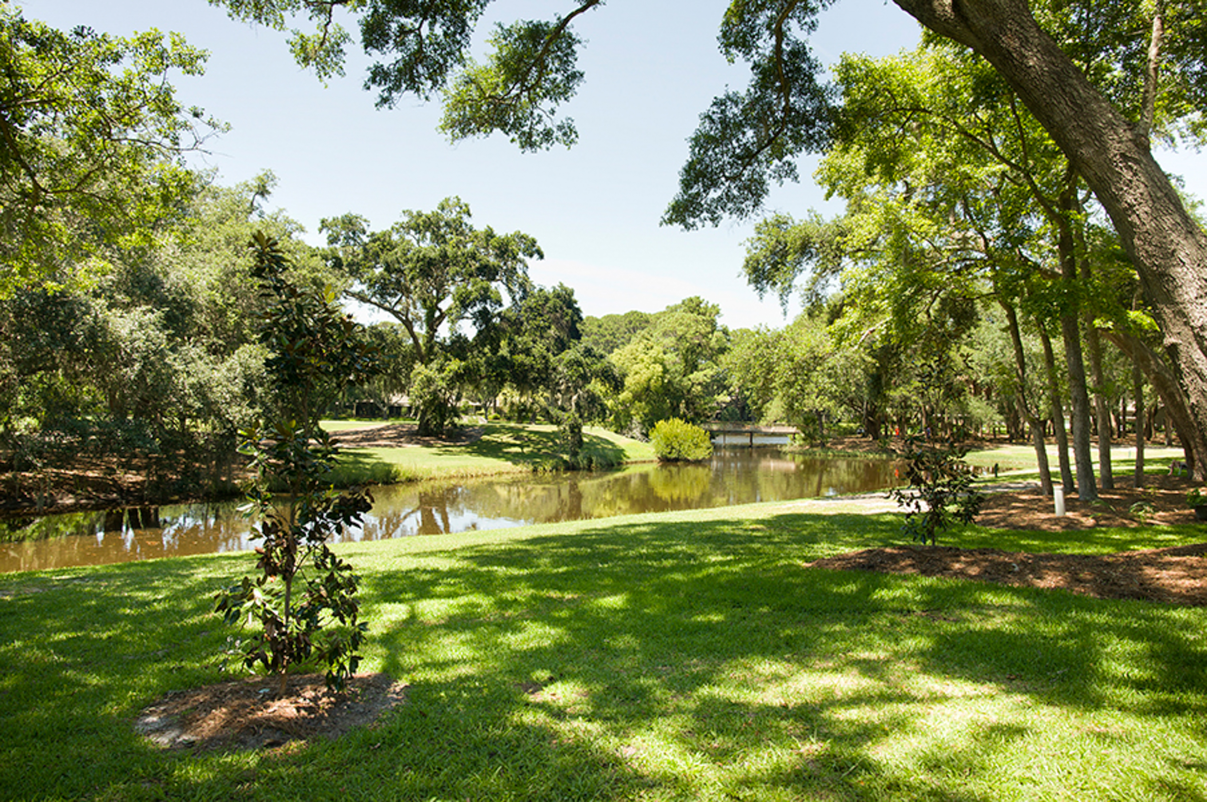 Hilton Head Condo 1009309