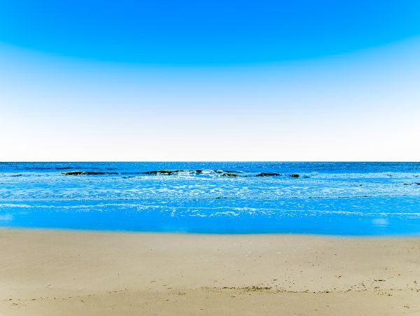 Hilton Head Condo 1009311