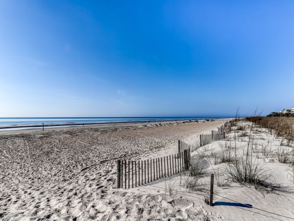 Hilton Head Condo 1009312
