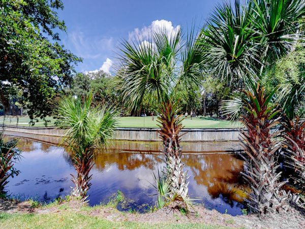 Hilton Head Condo 1009313