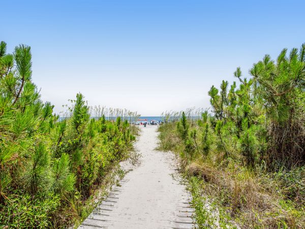 Hilton Head Condo 1009313