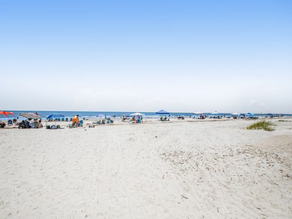 Hilton Head Condo 1009313