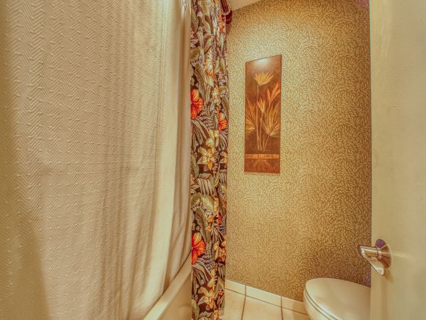Hilton Head Condo 1009316