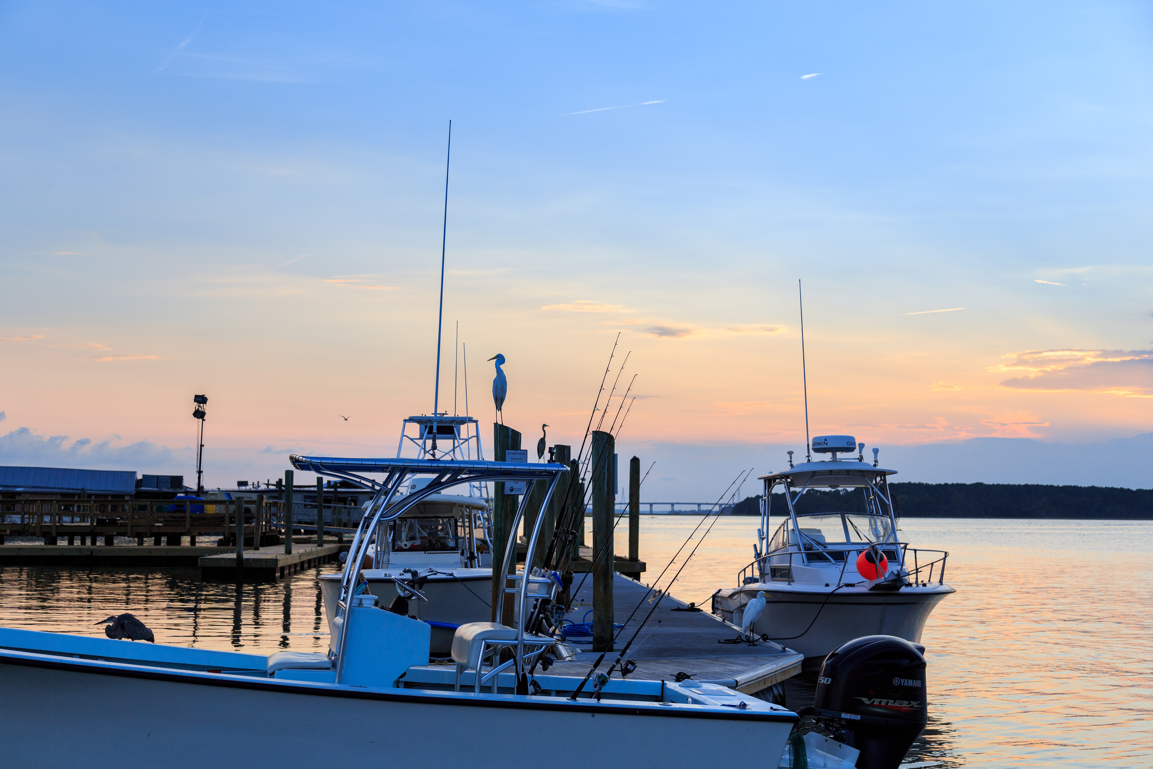 Hilton Head Condo 1009316