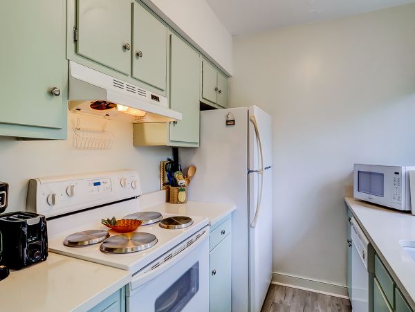 Hilton Head Condo 1009320