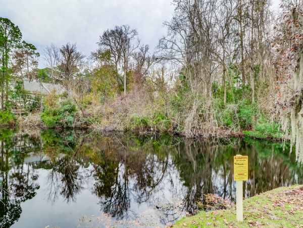 Hilton Head Condo 1009321