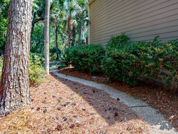 Hilton Head Condo 1009329