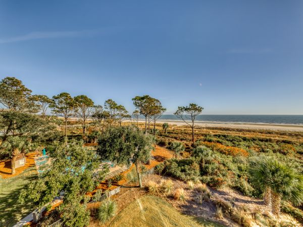 Hilton Head Condo 1009331
