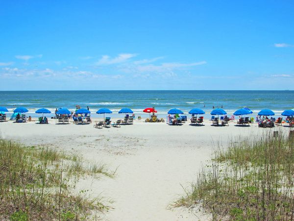 Hilton Head Condo 1009331