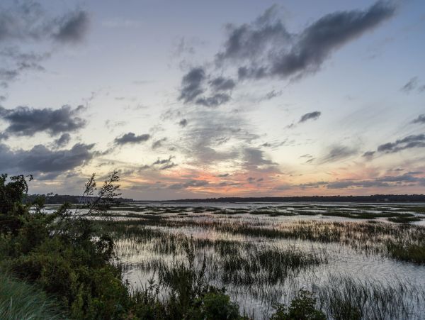Hilton Head Condo 1009331