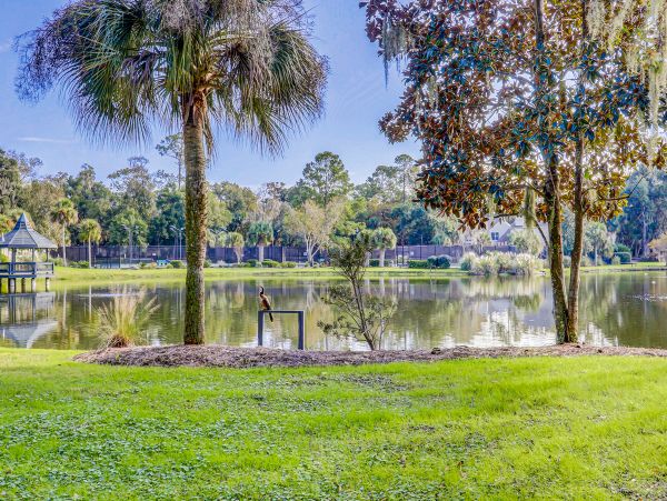 Hilton Head Condo 1009333