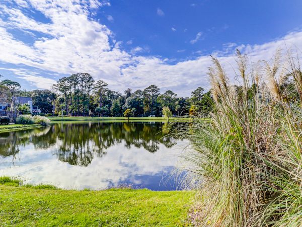 Hilton Head Condo 1009333