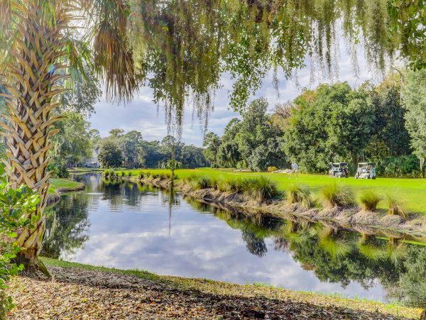 Hilton Head Condo 1009333