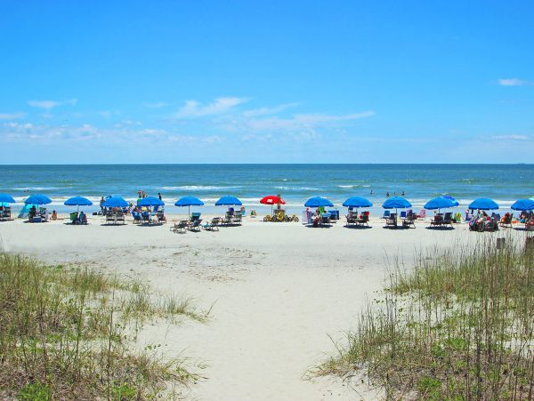 Hilton Head Condo 1009335