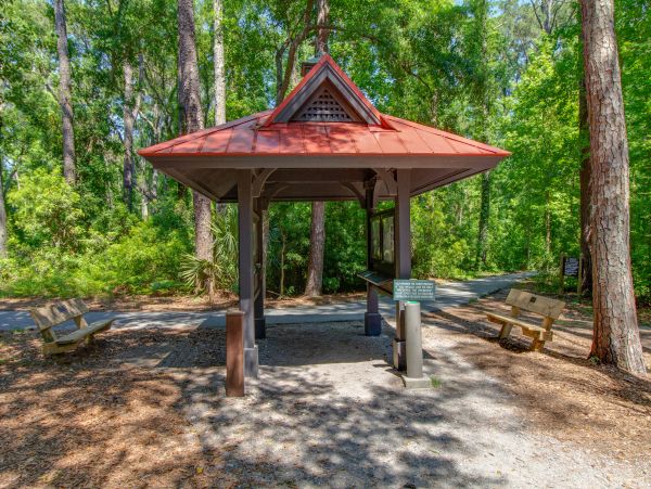Hilton Head Condo 1009339