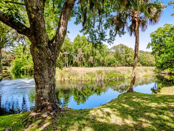 Hilton Head Condo 1009340