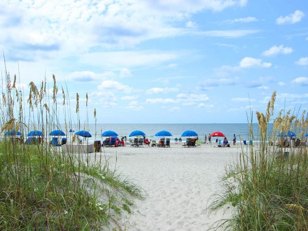 Hilton Head Condo 1009342