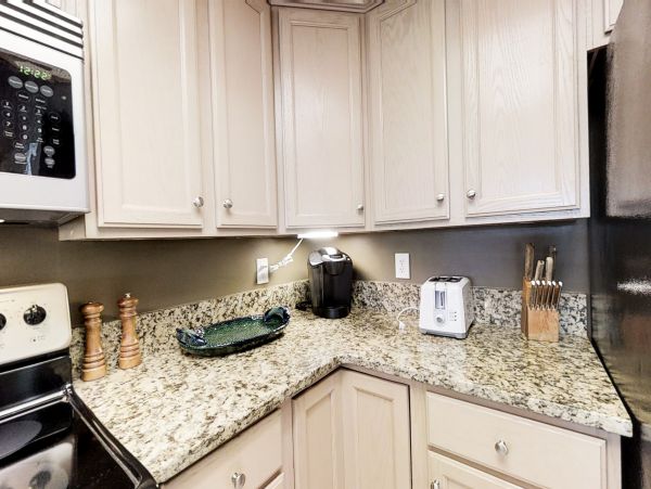 Hilton Head Condo 1009343