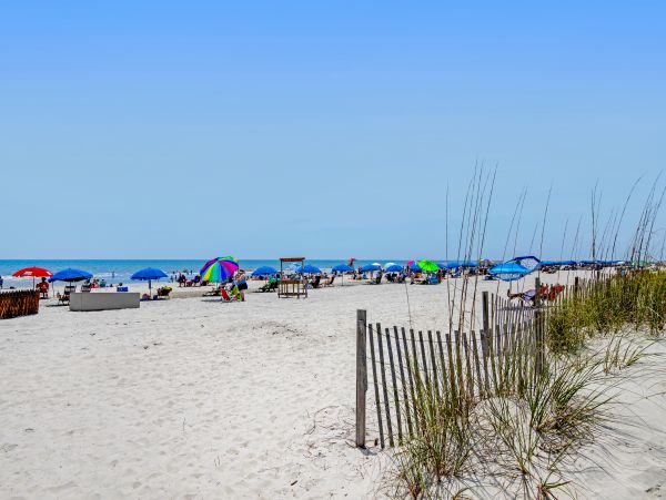 Hilton Head Condo 1009344