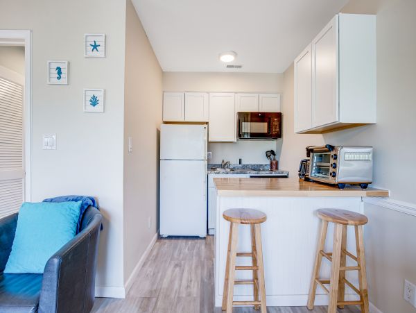 Hilton Head Condo 1009348