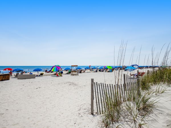 Hilton Head Condo 1009348
