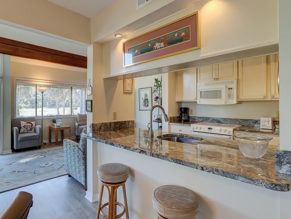 Hilton Head Condo 1009351