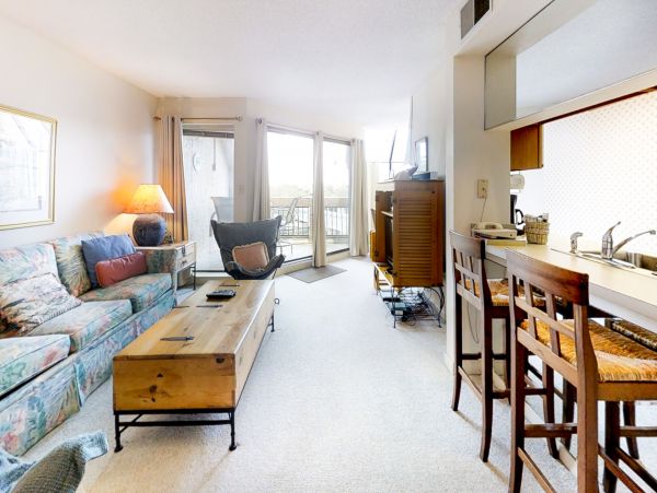 Hilton Head Condo 1009355