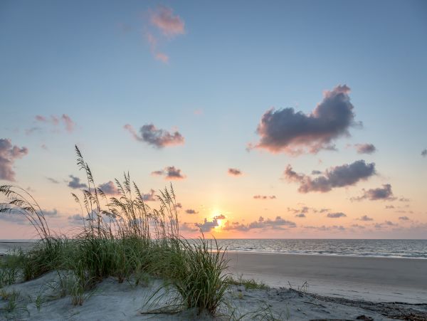 Hilton Head Condo 1009355