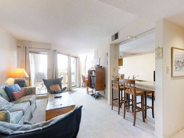 Hilton Head Condo 1009355