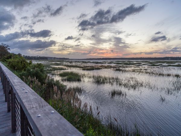 Hilton Head Condo 1009357