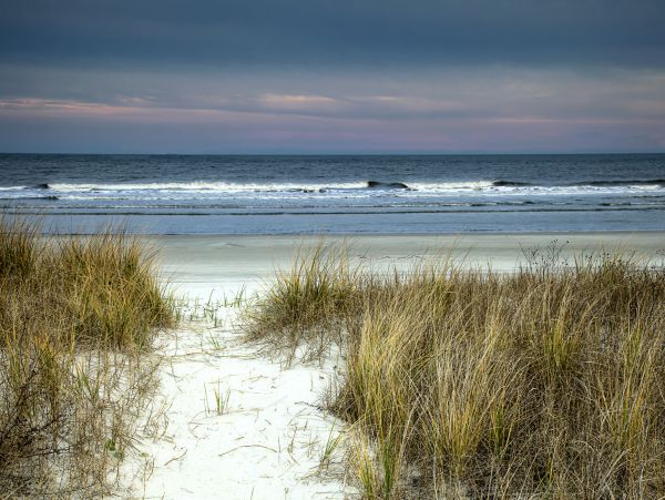Hilton Head Condo 1009359