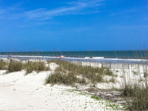 Luxury Condo on Palmetto Dunes, close to everything!
