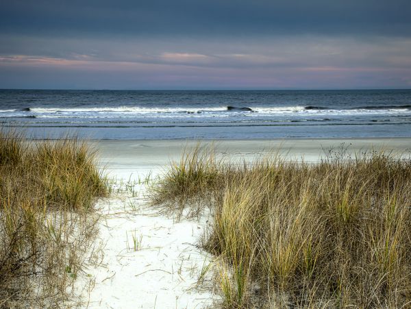 Luxury Condo on Palmetto Dunes, close to everything!