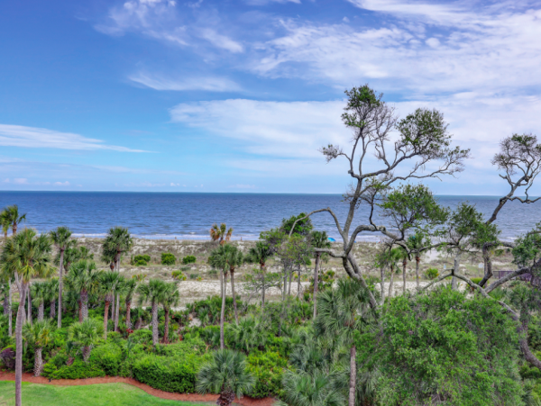 Luxury Four Bedroom Oceanfront Vacation Villa Wonderful Location