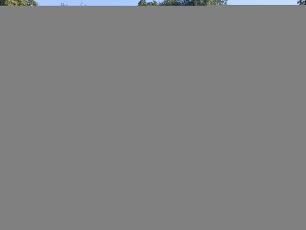 Hilton Head Condo 1009372
